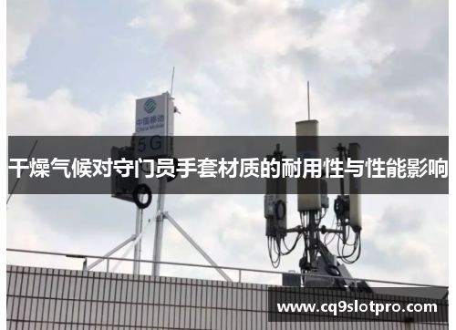 干燥气候对守门员手套材质的耐用性与性能影响